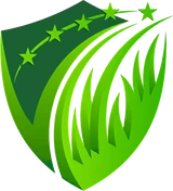 SISSA GRASS